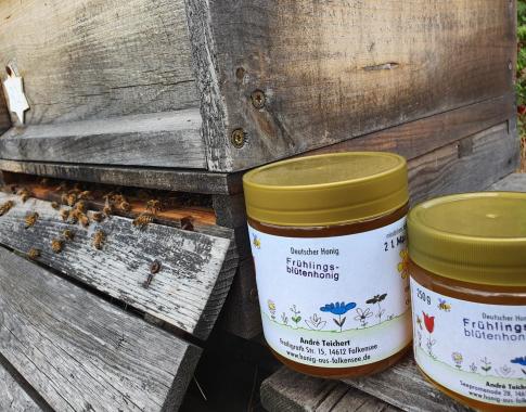 Honig vor Bienenbeute