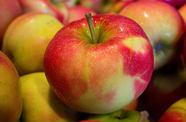 Äpfel für den Tessiner Apfel-Honig-Kuchen