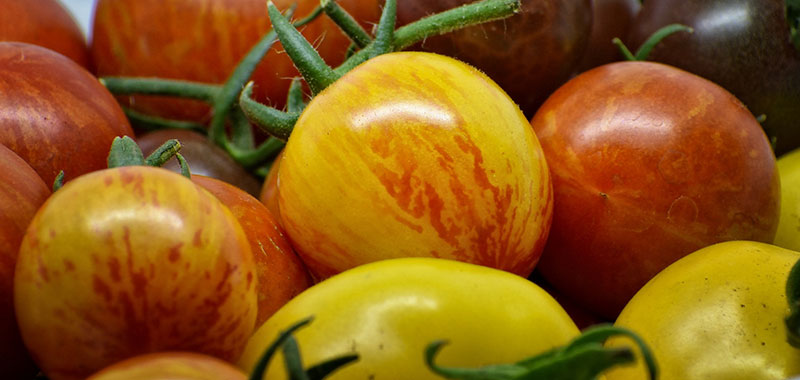 Verschiedenfarbige Tomaten