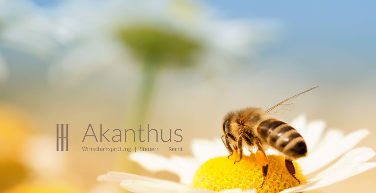 Bienenpatenschaft Akanthus
