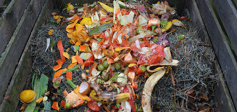 Abfälle für den Kompost