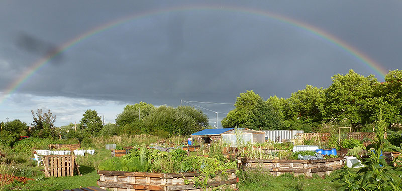 O´pflanzt is Garten mit Regenbogen