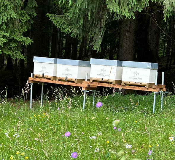 Die Bienenbeutel des Parkhotel Egerner Höfe