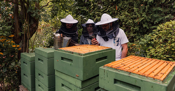 Das ETL Team beim Besuch bei den Bienen