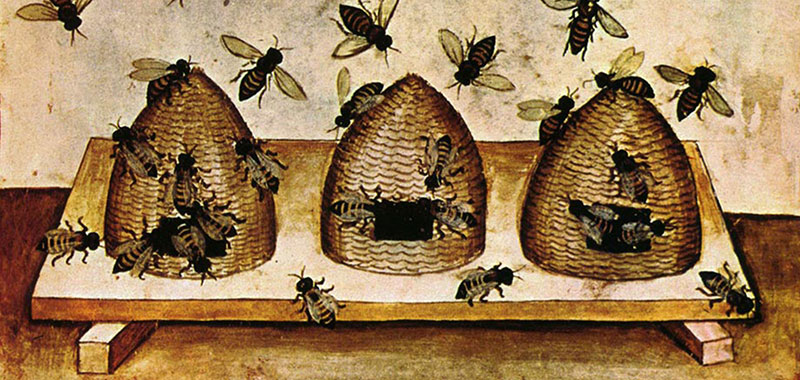 Bienenstöcke des 14. Jahrhunderts