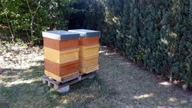 Bienenwohnung