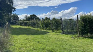 Standort in Hallbergmoos bei einem Obstbauern, sehr viel Obst, Linden Sonnenblumen